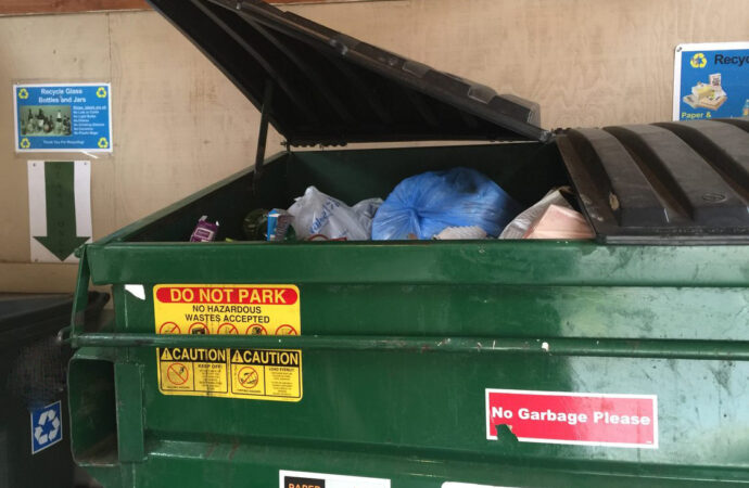 Recycling Dumpster Services, Wellington Junk Removal and Trash Haulers