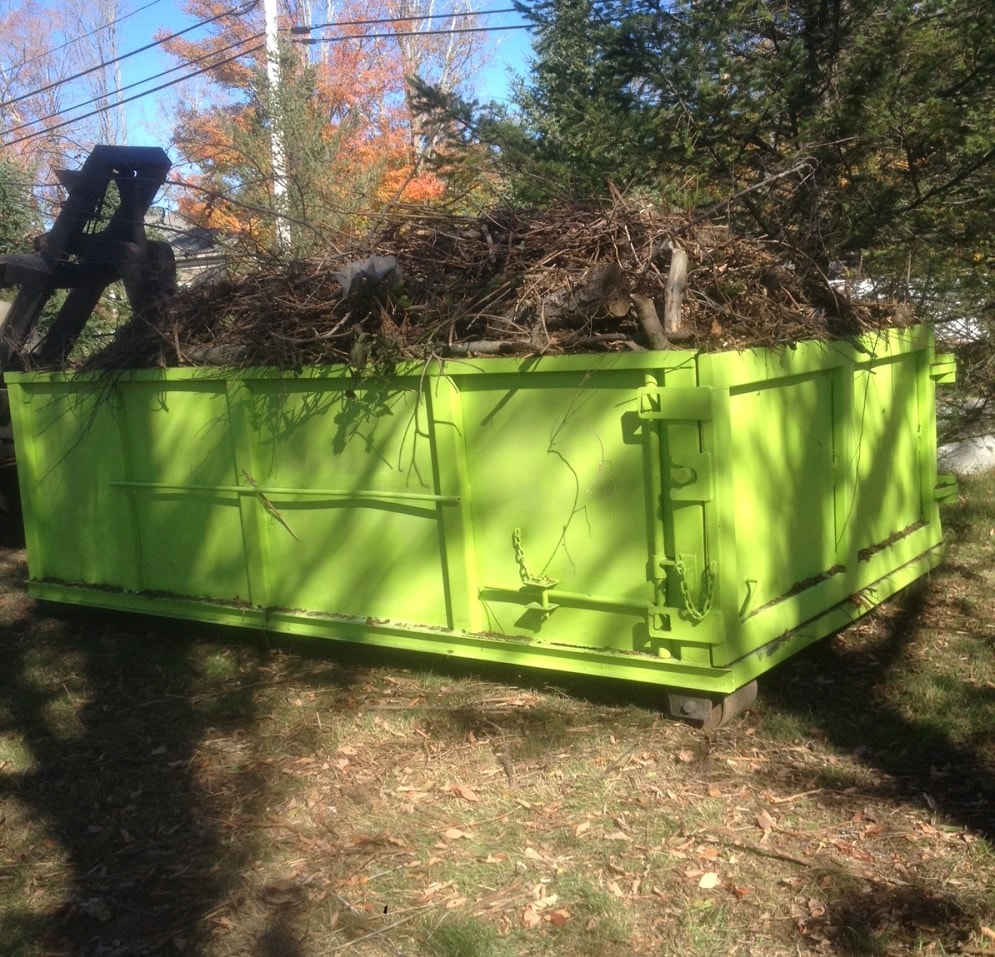 Tree Removal Dumpster Services, Wellington Junk Removal and Trash Haulers