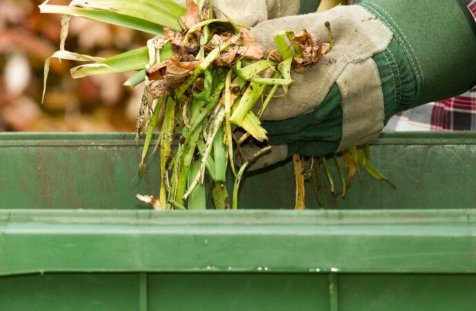 Yard Waste Dumpster Services, Wellington Junk Removal and Trash Haulers